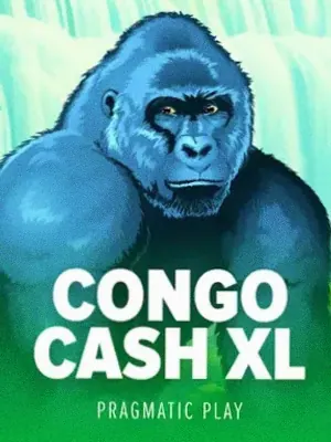 Congo Cash XL at 22King